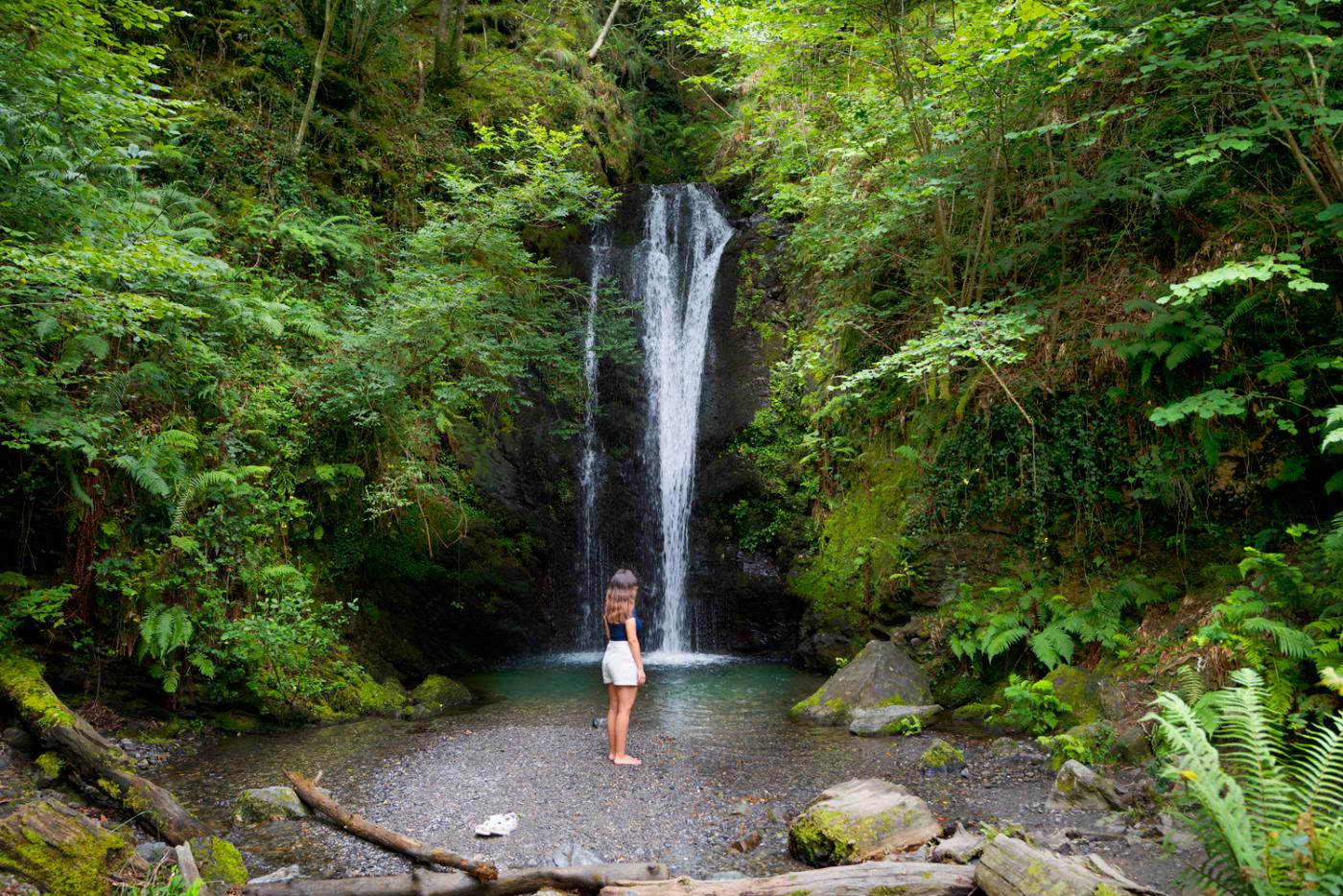 Caballos en el monte Arangoiti